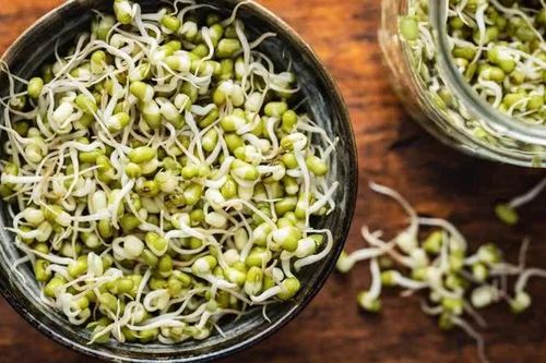 Đừng nghĩ tự trồng giá đỗ là 'sạch': 5 điều bạn cần đặc biệt lưu ý