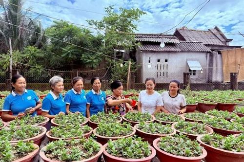 Phụ nữ Đan Điền lan tỏa mô hình xử lý rác hữu cơ bằng vi sinh IMO