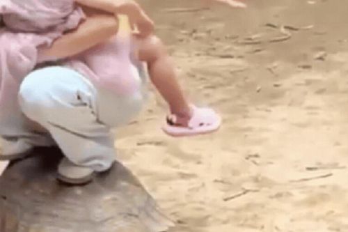 Du khách thản nhiên ngồi lên lưng rùa ở sở thú