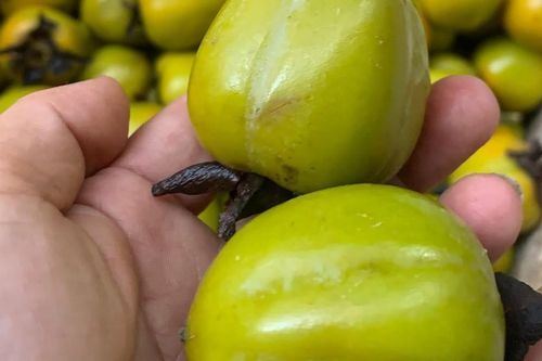 Cách lựa chọn và ăn hồng ngâm vừa ngon vừa an toàn