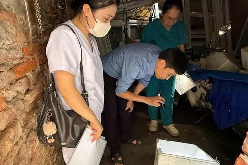 Hà Nội ghi nhận 400 trường hợp mắc sốt xuất huyết, phát hiện 12 ổ dịch mới