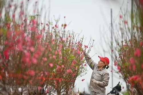 Bộ Nội vụ hướng dẫn doanh nghiệp 3 phương án nghỉ Tết Âm lịch năm 2027