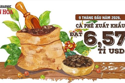 Xuất khẩu cà phê tăng lượng, giá bình quân giảm gần 20%