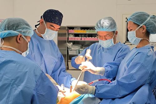 Phẫu thuật thay khớp háng thành công cho cụ bà 100 tuổi