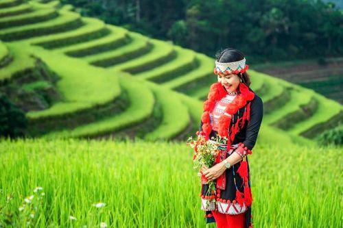 Mùa vàng gọi khách, Hồng Thái tìm hướng phát triển du lịch bốn mùa