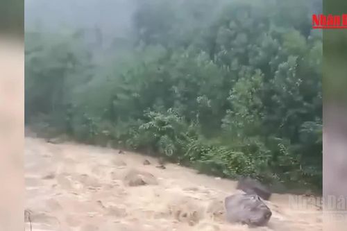 [Video] Mưa lớn gây sạt lở, đe dọa nhà dân tại miền núi Đà Nẵng