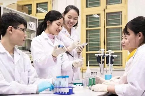 Bác sĩ nội trú phải đáp ứng những điều kiện gì để được tiếp tục đào tạo?