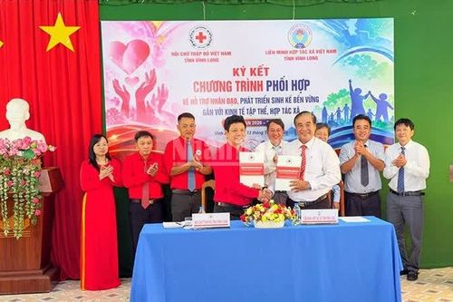 Vĩnh Long đổi mới phương thức hỗ trợ nhân đạo gắn với phát triển sinh kế bền vững