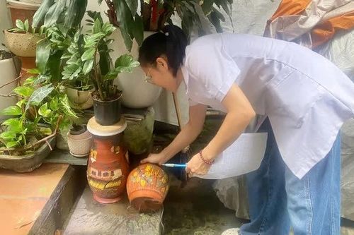 Ngành y tế Hà Nội tăng cường giám sát, chỉ đạo phòng chống dịch bệnh truyền nhiễm