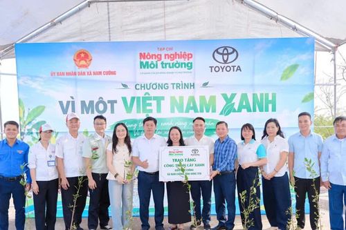 Chung tay kiến tạo những 'Lá chắn xanh' vùng ven biển Nam Cường