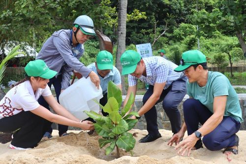 Một màu xanh, hai mặt trận