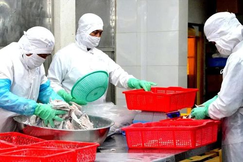 Doanh nghiệp thủy sản Việt Nam cần rà soát phụ gia khi xuất khẩu sang Mỹ