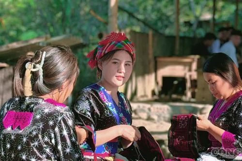 Bản người Mông dưới chân Hoàng Liên Sơn có thứ khiến du khách đổ xô lên núi, tiền tự tìm đến