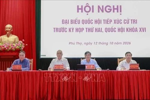 Cử tri kiến nghị hướng dẫn thống nhất việc tổ chức đơn vị tự quản dưới thôn, tổ dân phố