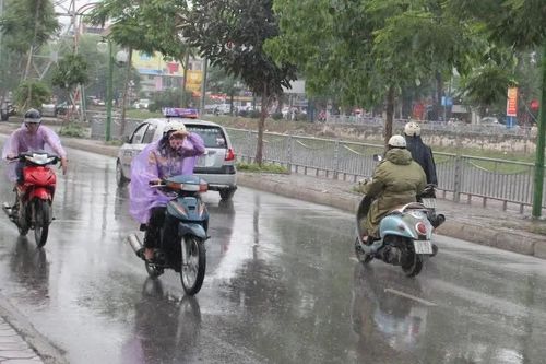 Dự báo thời tiết ngày 13/10: Trung Bộ có mưa diện rộng