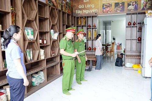 Vợ chồng chủ kênh 'Già làng Tây Nguyên' bị khởi tố vì xâm phạm nhãn hiệu sâm Ngọc Linh