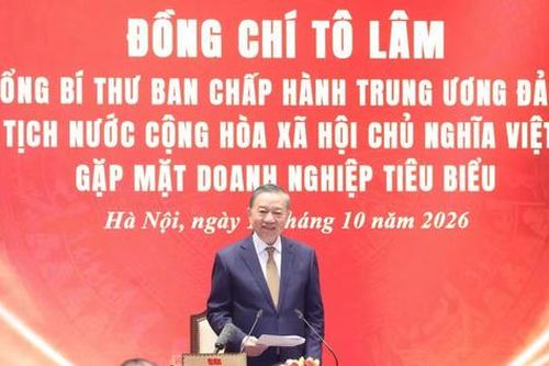 Tổng Bí thư, Chủ tịch nước Tô Lâm: Doanh nghiệp vững mạnh góp phần bồi đắp sức mạnh quốc gia