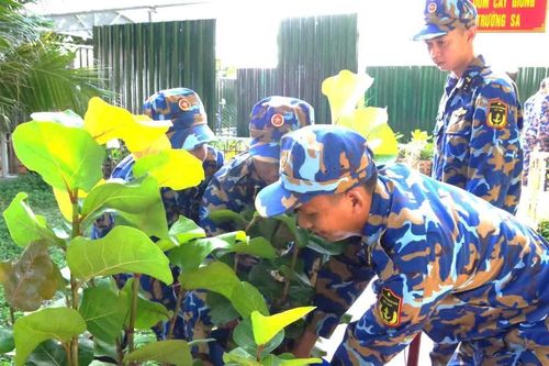 Giữ mầm xanh giữa nắng gió Trường Sa