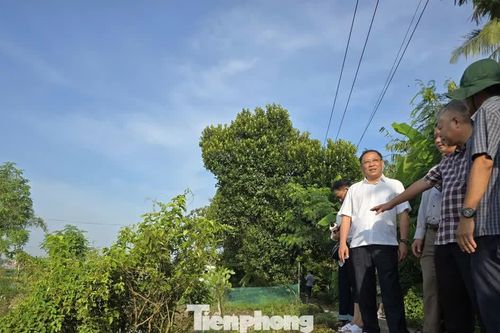 Đối mặt mùa triều cường lịch sử, nhiều đoạn đê bao ở Cần Thơ bị uy hiếp