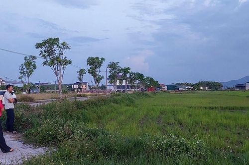 Đất đấu giá hơn 3 tỷ đồng/lô không ai đăng ký, dự kiến giảm giá khoảng 1 tỷ
