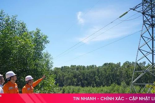 Hà Tĩnh nâng cao độ tin cậy lưới điện trước mùa mưa bão