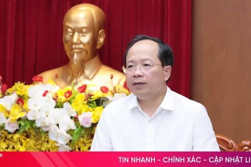 Thường trực Tỉnh ủy Hà Tĩnh cho ý kiến về một số nội dung thuộc thẩm quyền