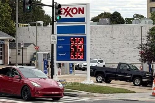 Phe đối lập Đức kêu gọi đạt thỏa thuận với Nga về dầu diesel