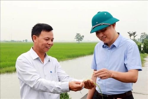 Phát huy vai trò tiên phong của đảng viên ở cơ sở