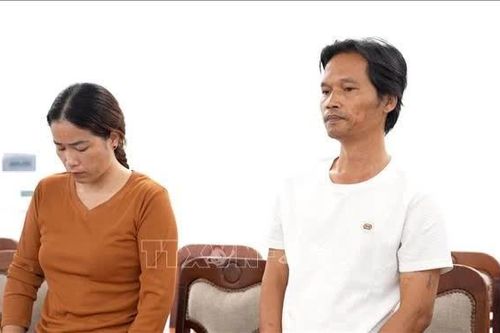 Khởi tố đối tượng xâm phạm quyền sở hữu công nghiệp thương hiệu sâm Ngọc Linh
