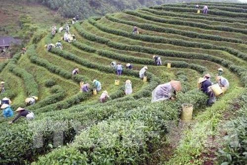 Kết nối du lịch nông thôn với OCOP, mở rộng đầu ra nông sản