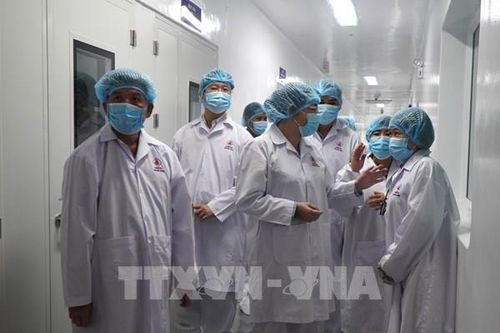 Doanh nghiệp đất sen hồng đón luồng sinh khí mới