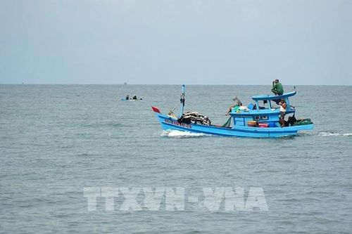 An Giang tăng tốc xuất khẩu, phấn đấu đạt mục tiêu trên 2,6 tỷ USD
