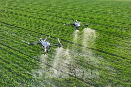 Nông nghiệp công nghệ cao – Bài 1: Kinh nghiệm từ Australia