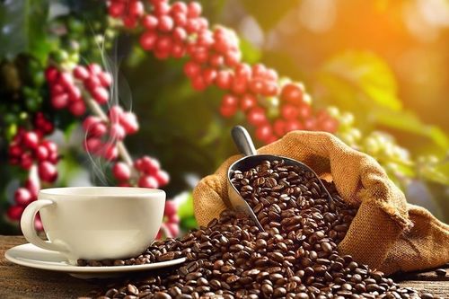 Giá nông sản hôm nay (12/10): Giá cà phê giảm, thịt lợn hơi dao động trong khoảng 51.000 - 54.000 đồng/kg