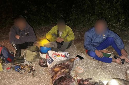 Phát hiện 3 người vận chuyển động vật nghi là tê tê, hoẵng