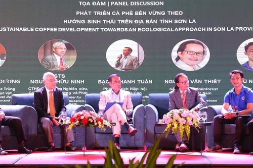 Sơn La phát triển cà phê Arabica theo hướng sinh thái, bền vững