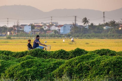Mời doanh nghiệp tham gia xúc tiến du lịch tại Ấn Độ
