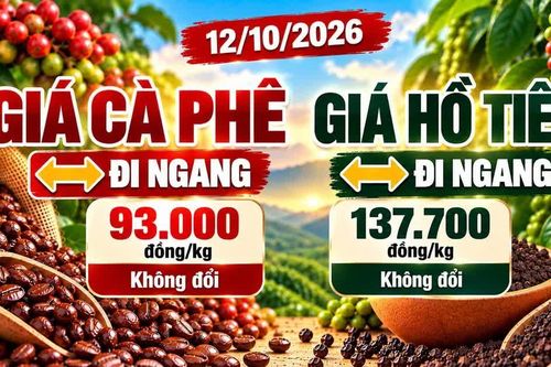 Giá cà phê, hồ tiêu hôm nay 12/10: Hai mặt hàng cùng đi ngang