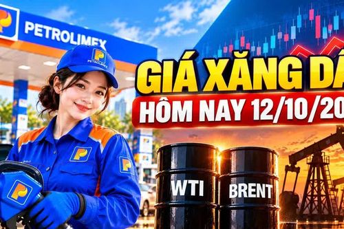 Giá xăng dầu hôm nay 12/10/2026: Dầu thế giới biến động nhẹ đầu tuần