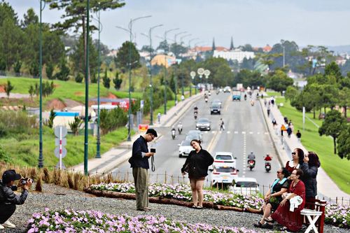 Lâm Đồng xúc tiến các hoạt động Festival Hoa 2026