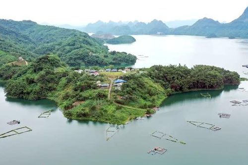 Tiền Phong tập trung nguồn lực, tạo động lực phát triển