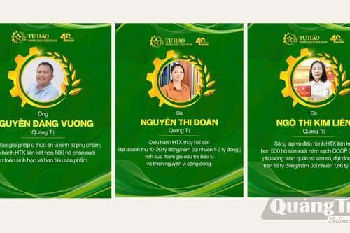 Quảng Trị có 3 đại biểu được tôn vinh 'Nông dân Việt Nam xuất sắc 40 năm đổi mới'
