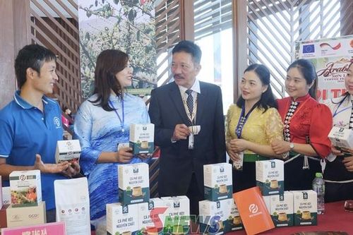 Phát triển cà phê bền vững theo hướng sinh thái