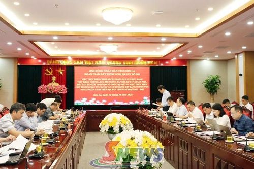 Giám sát việc sắp xếp tài sản công và thực hiện các dự án đầu tư