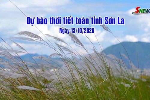 Dự báo thời tiết toàn tỉnh Sơn La ngày 13/10/2026