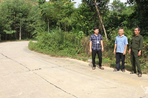 Văn Hán thênh thang đường mới