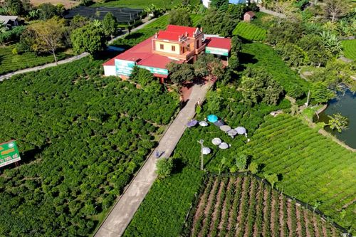 Giữ hồn trà trong nhịp sống hiện đại