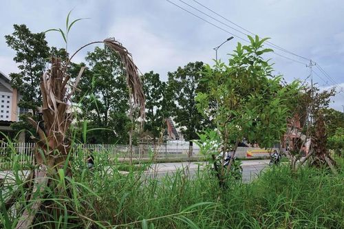 Sớm khắc phục tình trạng nhếch nhác đường Phạm Văn Đồng