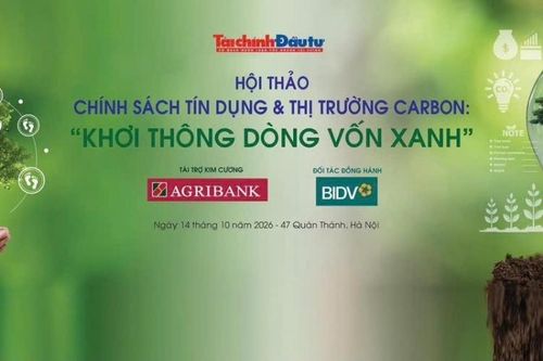 Thị trường carbon: Từ giá trị giảm phát thải đến dòng vốn xanh