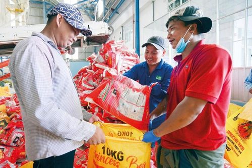 Xuất khẩu gạo: Tăng dư địa ở phân khúc giá trị cao
